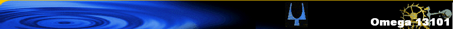 Omega 13101