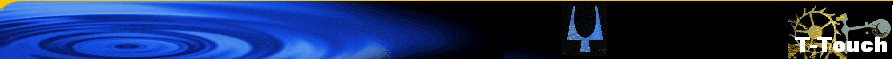 T-Touch