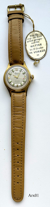 Arx01WetteruhrT
