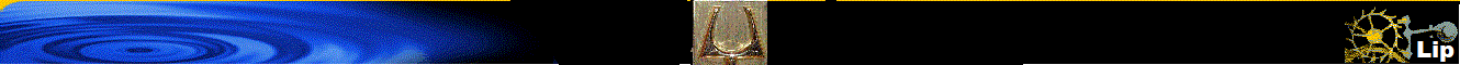 LIP