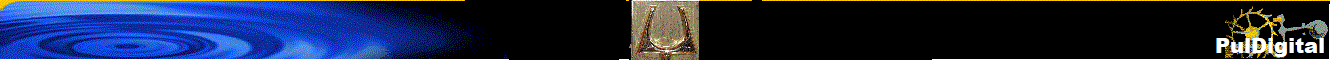 PulDigital