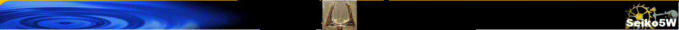 Seiko5W