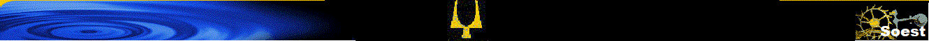 Soest