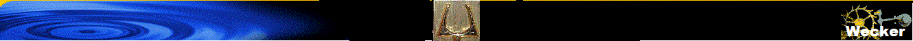 Wecker 